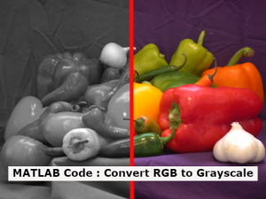 4 best way for Converting RGB image to Grayscale in MATLAB - digitfile